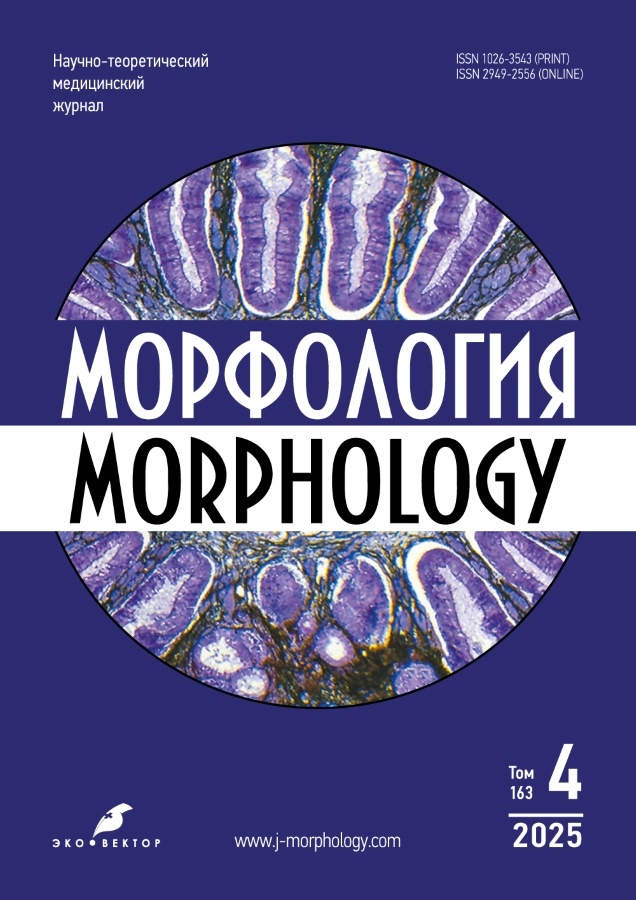 Page Header Logo