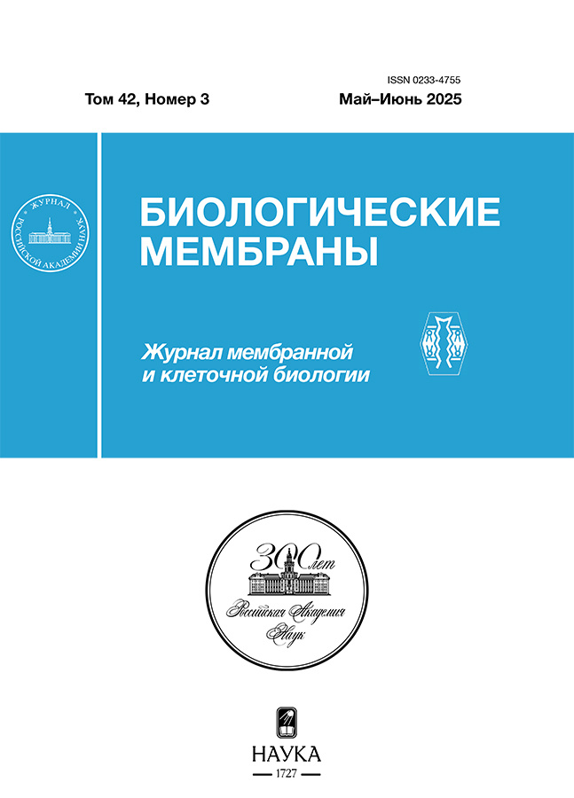 Page Header Logo