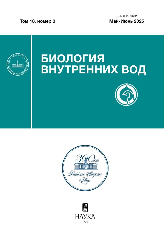 Page Header Logo