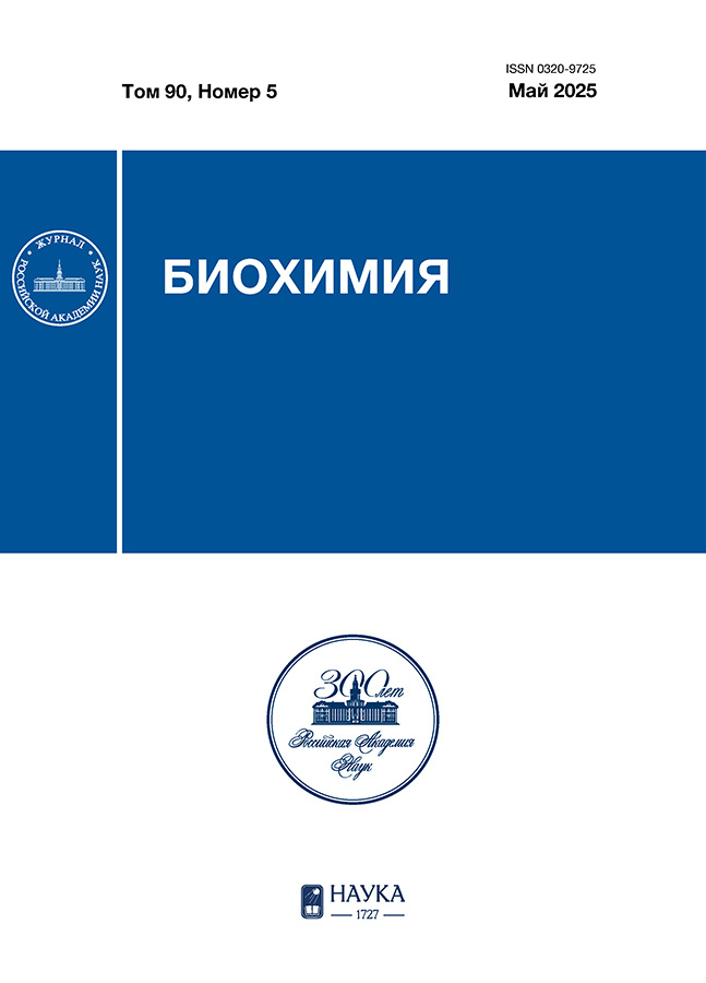 Логотип Заголовка Страницы
