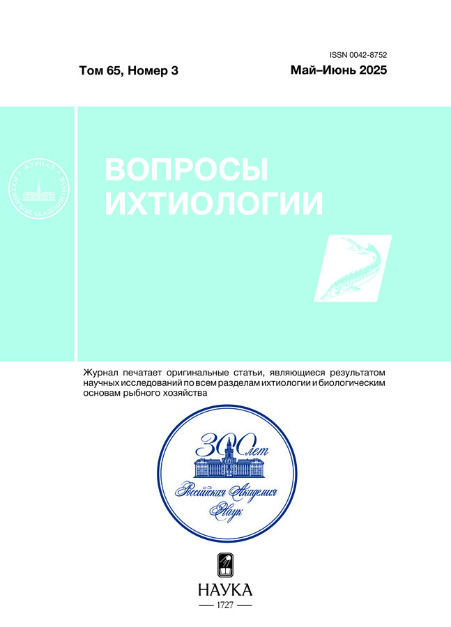 Page Header Logo