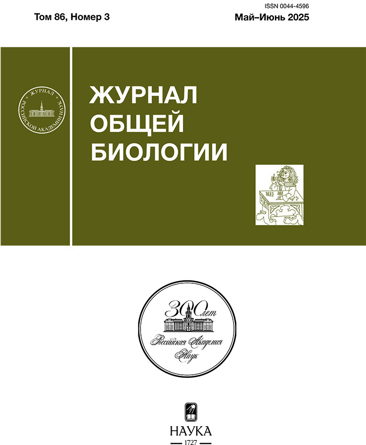 Логотип Заголовка Страницы