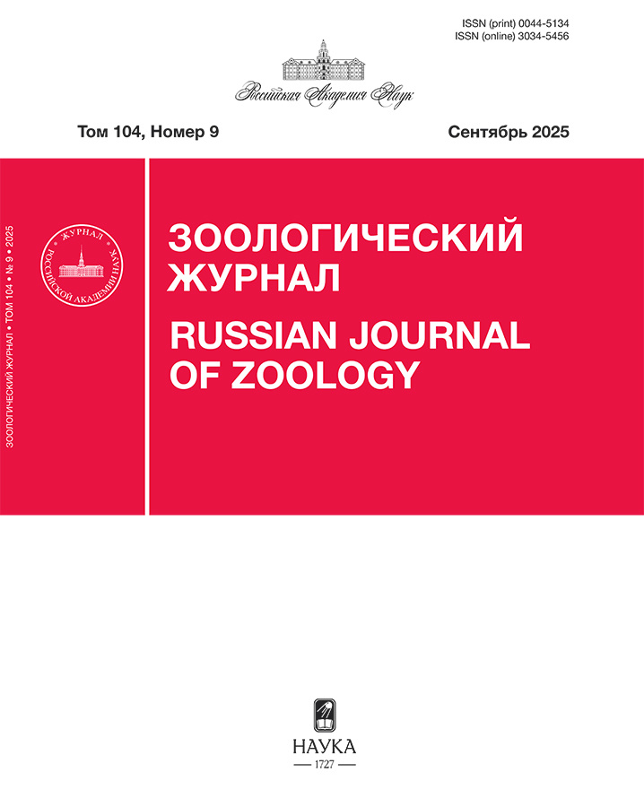 Логотип Заголовка Страницы