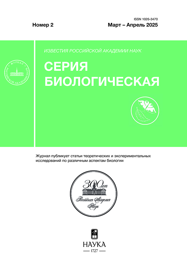 Page Header Logo
