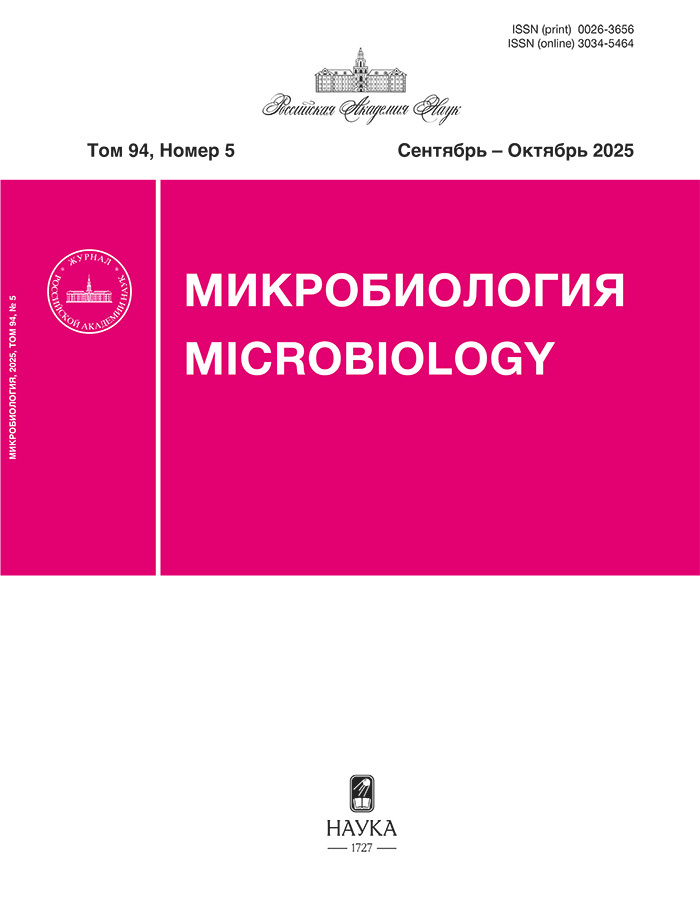 Логотип Заголовка Страницы