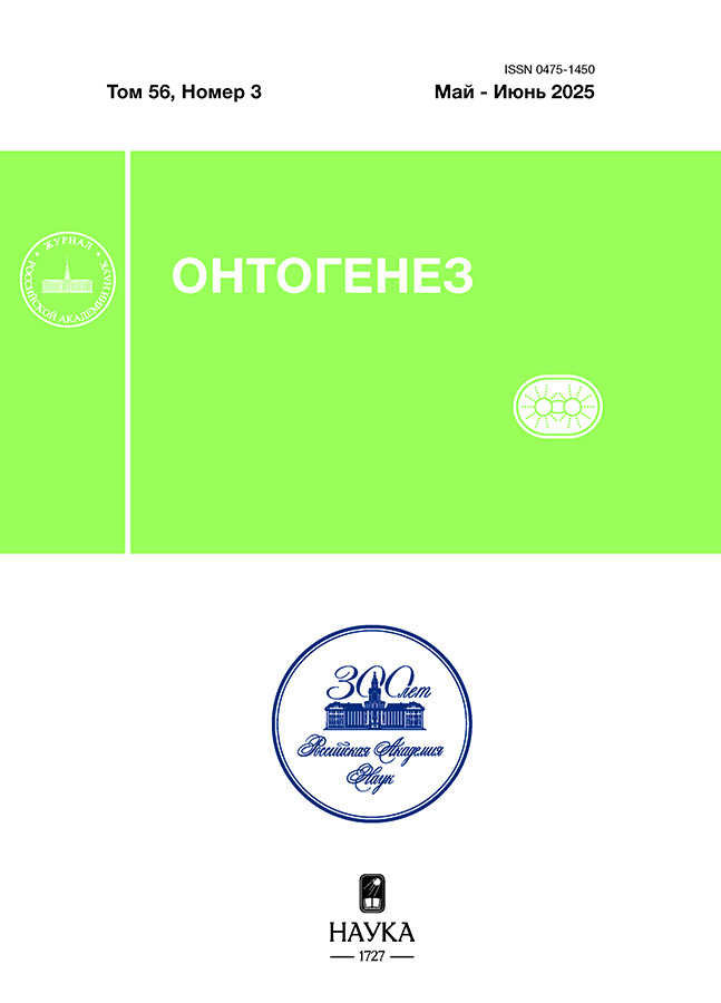 Page Header Logo