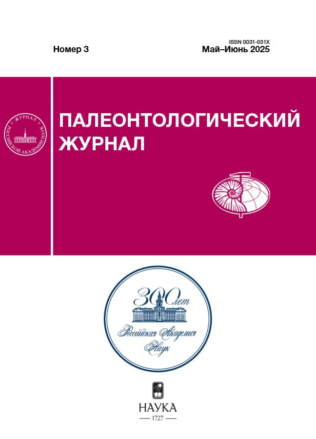 Page Header Logo