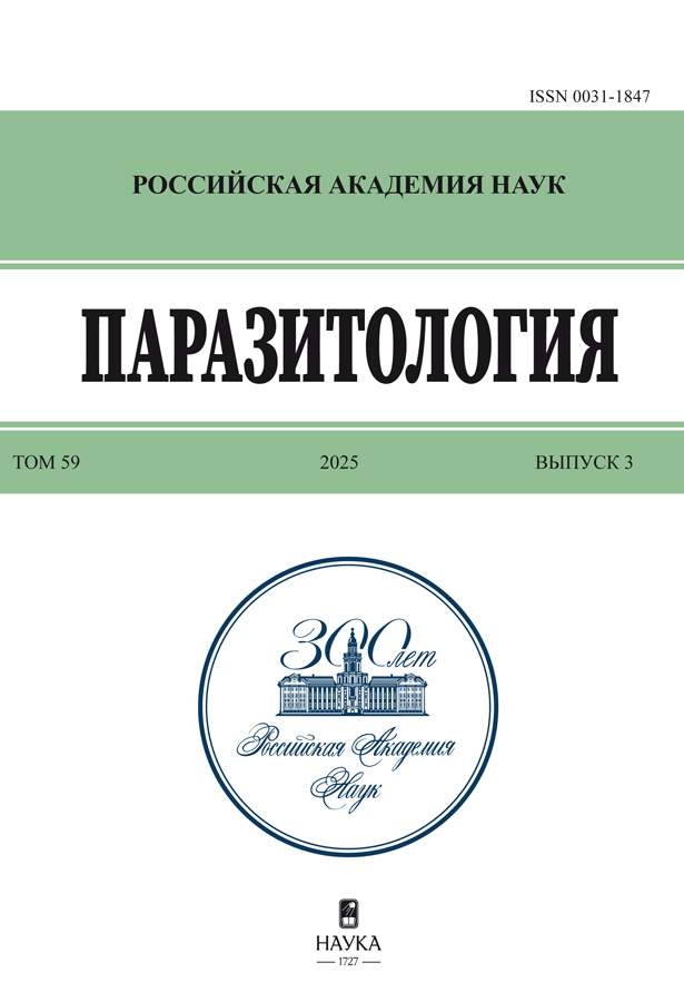 Логотип Заголовка Страницы